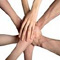MLM website